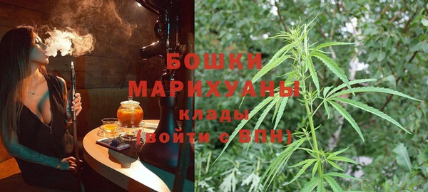 apvp Лиски