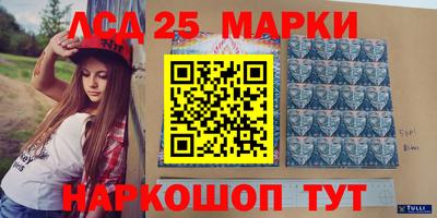 шишки Будённовск