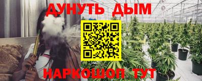 шишки Будённовск