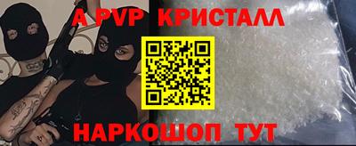 шишки Будённовск