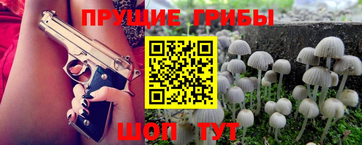 Иваново  Псилоцибиновые грибы мицелий  Вход с VPN 