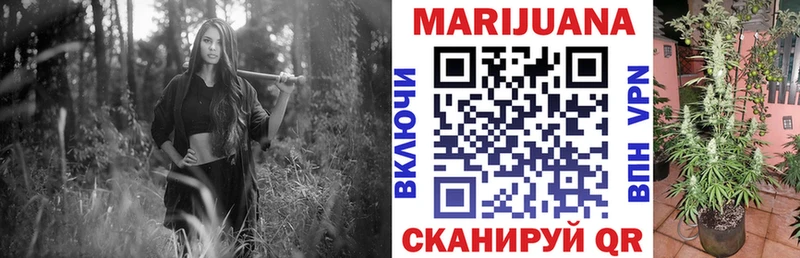 как найти наркотики  Иваново  Марихуана план 